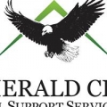 Emerald City Legal Support Services Inc