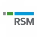 RSM McGladrey Inc