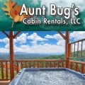 Aunt Bugs Log Cabin Rentals Llc