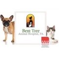 Bent Tree Animal Hospital, PA