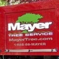Mayer Tree Service