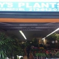 Jay's Plants