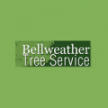 Bellweather Tree Service