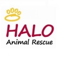 Halo Animal Rescue Thrift Boutique
