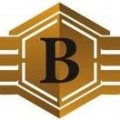 Boerne Import Auto Werks LLC