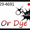 DO or Dye Salon