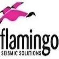 Flamingo Seismic Solutions