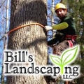 Bills Landscaping Llc