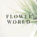 Flower World, Inc.