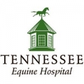 Tennessee Equine Hospital LLP