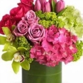 All Occasion Florist