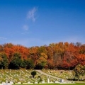 All Saints Braddock Catholic Cemetery