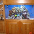 Indoor Ocean Aquariums Inc