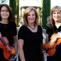 Allegro Quartet