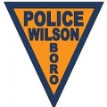 City Government Wilson Borough