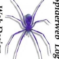 Spiderweb Logic Web Design