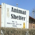 Animal Welfare Shelter