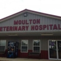 Moulton Veterinary Hospital