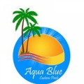 Aqua Blue Custom Pools