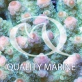 Quality Marine