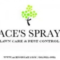 Ace's Spray Tree & Lawn Care