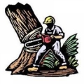 Accurate Tree Service & Stump Grinding