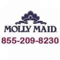 Molly Maid of Tacoma / Gig Harbor