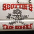 Scotty S Tree Service