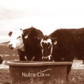 Nutra-Lix Inc