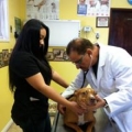 Hollypark Pet Clinic