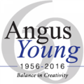 Angus Young Associates Inc
