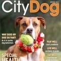Citydog Magazine