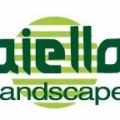 Aiello Landscaping