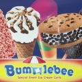 Bumblebee Ice Cream