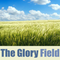 The Glory Field