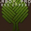 Arbor Pro Tree Experts