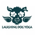 Laughing Dog Yoga Studio