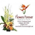 Flowers Forever and Gifts