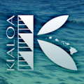 Kialoa Canoe Paddles
