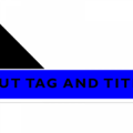 In and Out Tags and Titles LLC