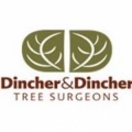 Dincher & Dincher Tree Surgeons