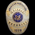 American Protection Security Services Inc