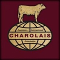 Charolais Association American International