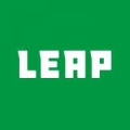 Leapfrog Interactive