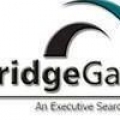 Bridgegate LLC