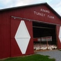 Adams Turkey Farm
