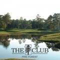 Pine Forest Golf Maintenance