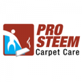 PRO Steem Carpet Care