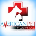 American Pet Hospital