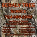 Seraly Tree Service